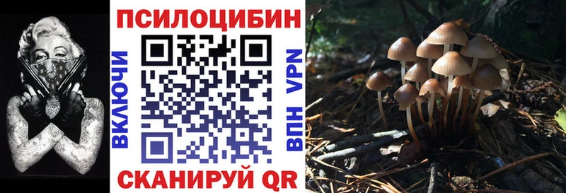 даркнет официальный сайт  МЕГА   Обоянь  Галлюциногенные грибы мухоморы 